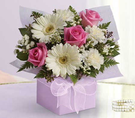 Picture for category Same Day Delivery